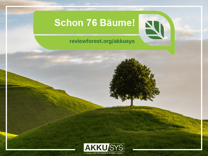 Schon 76 Bäume im AKKU SYS Bewertungswald