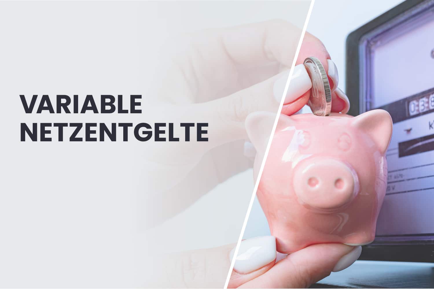 Banner with the inscription 'Variable grid charges'. On the right of the picture, a hand puts a coin into a piggy bank; an electricity meter can be seen in the background.